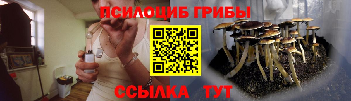 Галлюциногенные грибы Psilocybe  Псилоцибиновые грибы Psilocybine cubensis  Вход с VPN  Югорск 